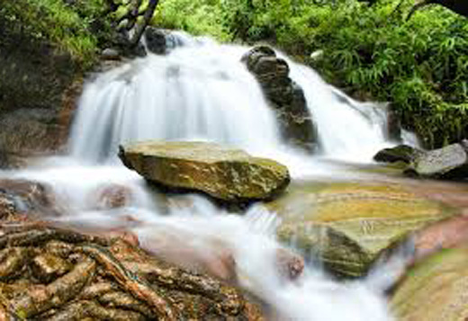 arbi falls